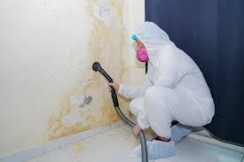 Mold Remediation for Vacation Homes in Berwyn Heights, MD